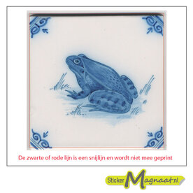 Tegelsticker delfse kikker