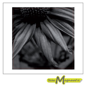 Tegelsticker bloem foto zwart wit