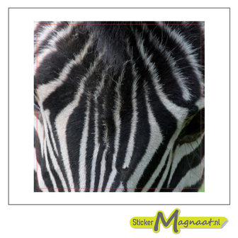 Tegelstickers  zebra strepen