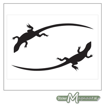 Raamdecoratie Stickers - Salamander