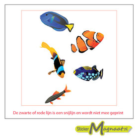 Tegelstickers vissen