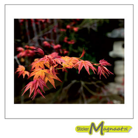 Laptop Stickers - Plant