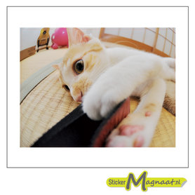 Laptop Stickers - Kat