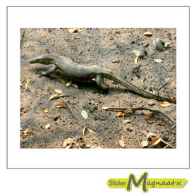 Laptop Stickers - Amfibie