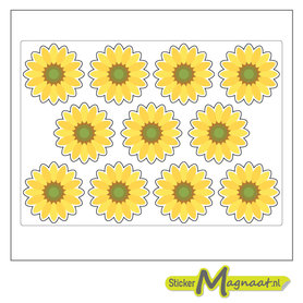 Bloem stickers fiets