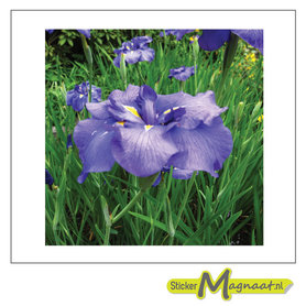 Tegelsticker paarse bloem foto