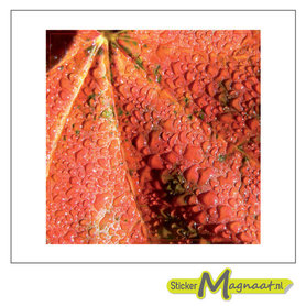 Tegelstickers - Vrucht - 5 Stuks