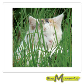 Tegelstickers kat gras