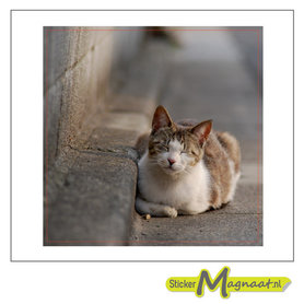 Tegelstickers liggende kat
