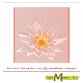 Tegelsticker lelie roze