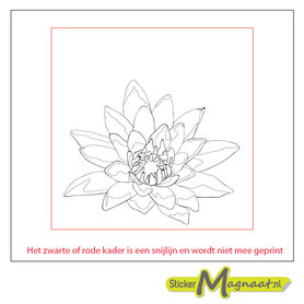 Tegelsticker arabische lelie