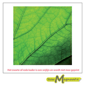 tegelsticker blad